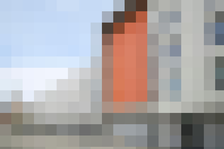  / #6
