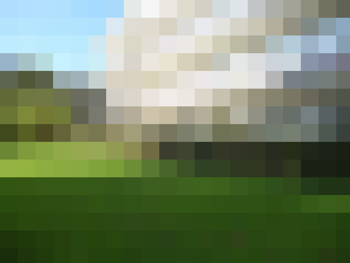  / #7