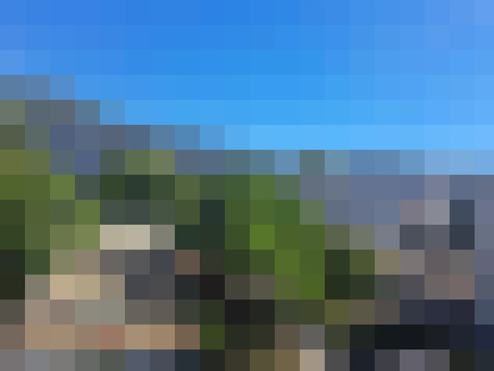  / #8