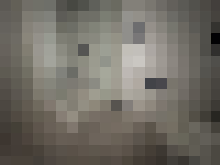  / #8