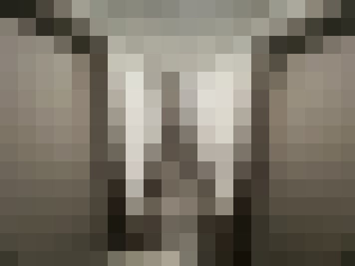  / #10