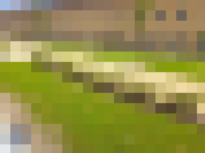  / #7