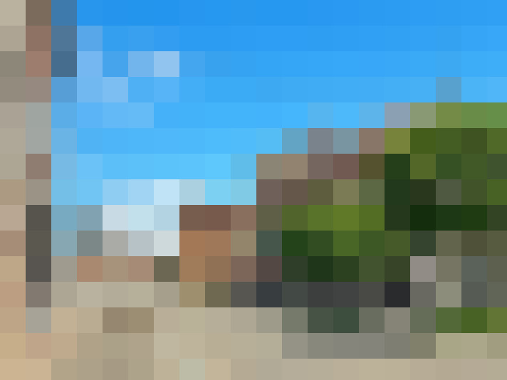  / #6