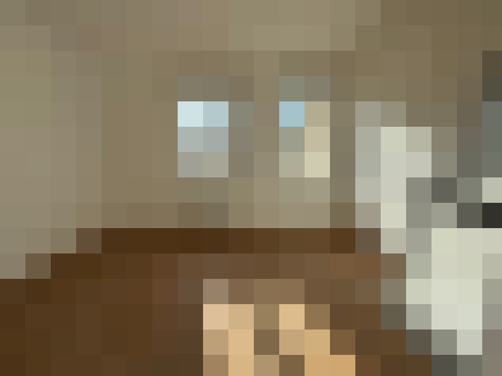  / #6