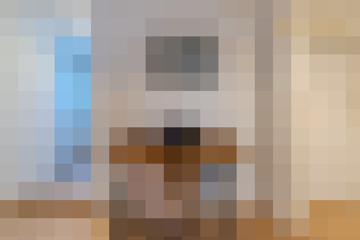  / #19