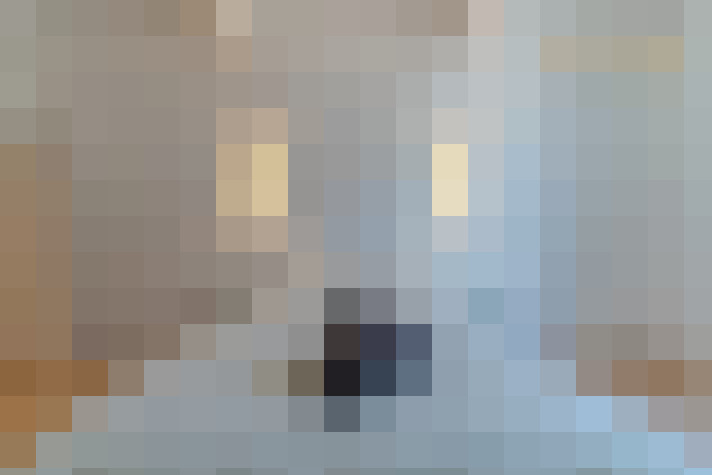  / #16