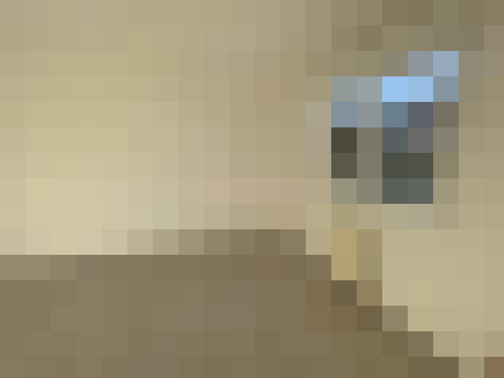  / #6