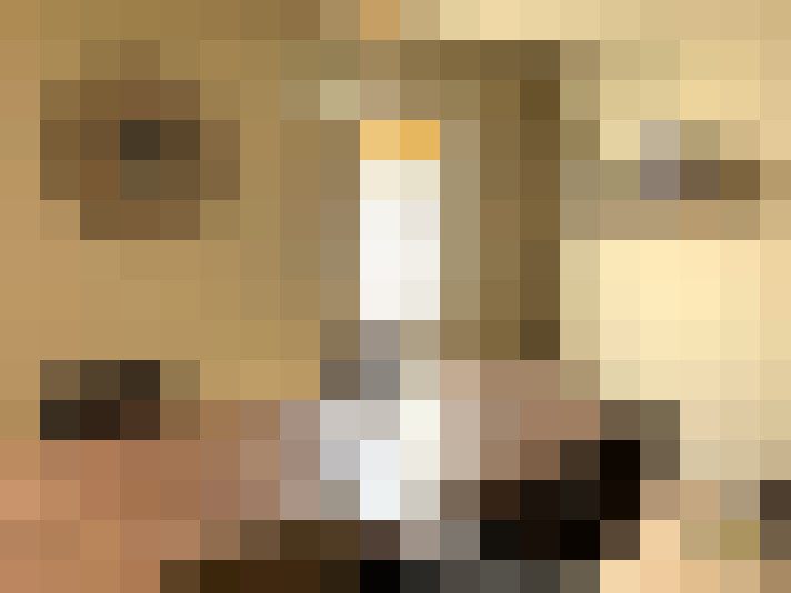  / #11