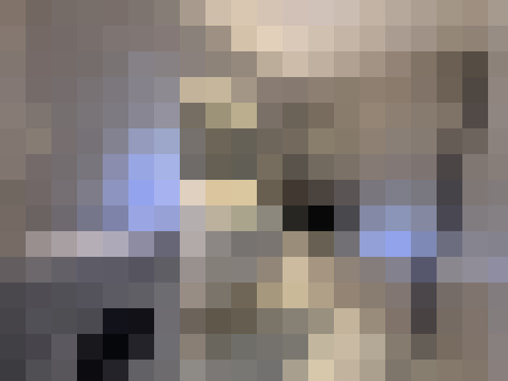  / #6
