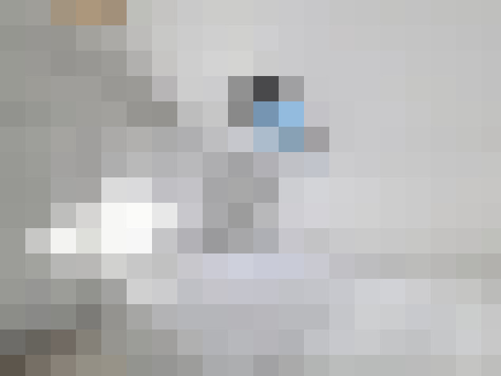  / #7