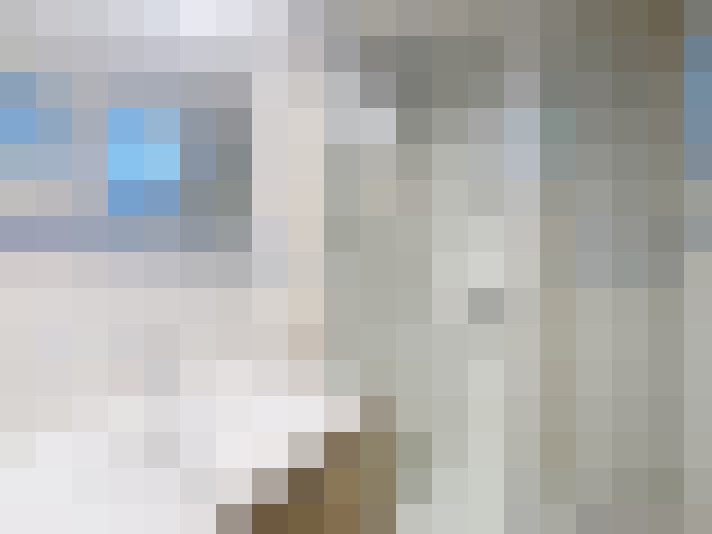  / #23