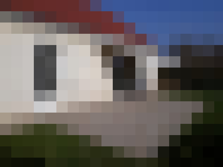  / #7