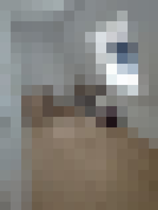  / #8