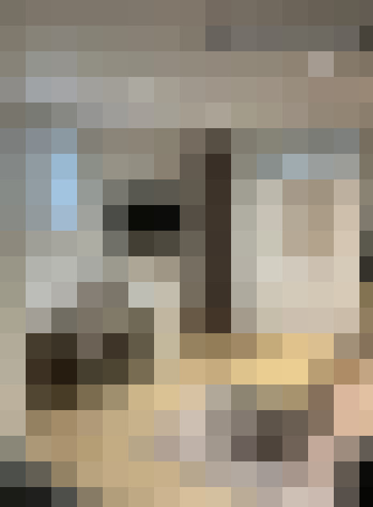  / #15