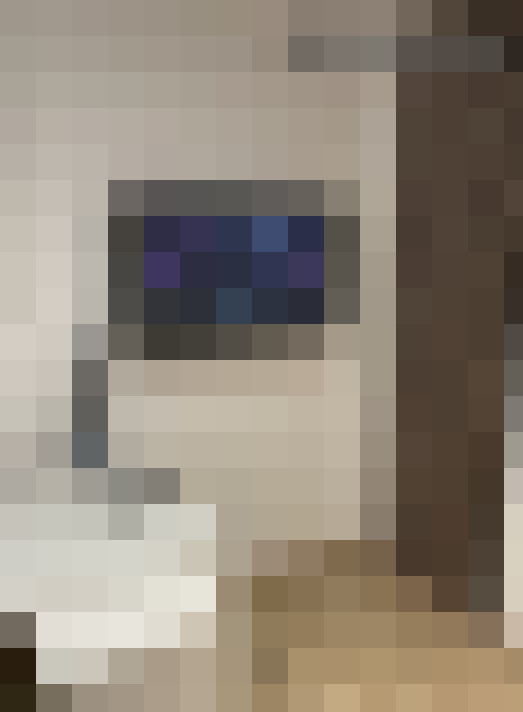  / #7