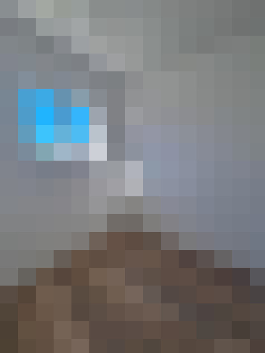  / #8