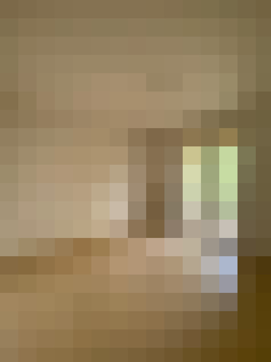  / #11