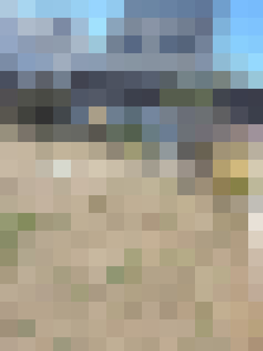  / #15