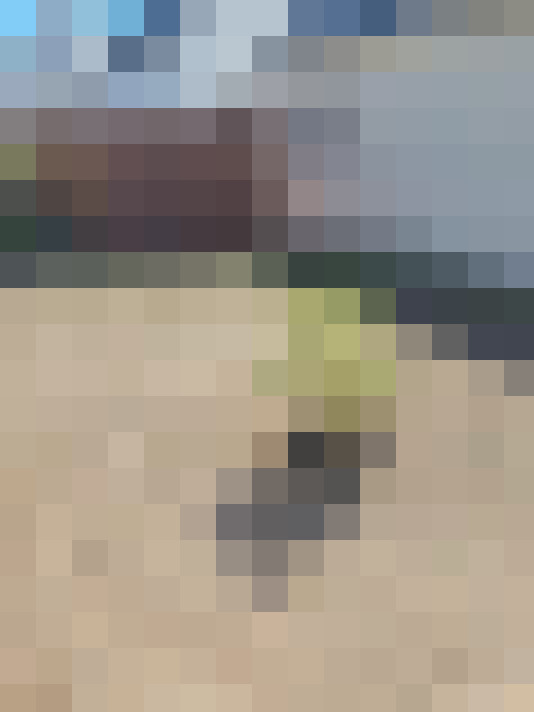  / #14