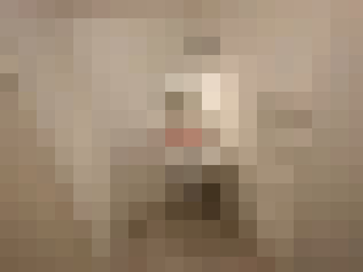  / #11