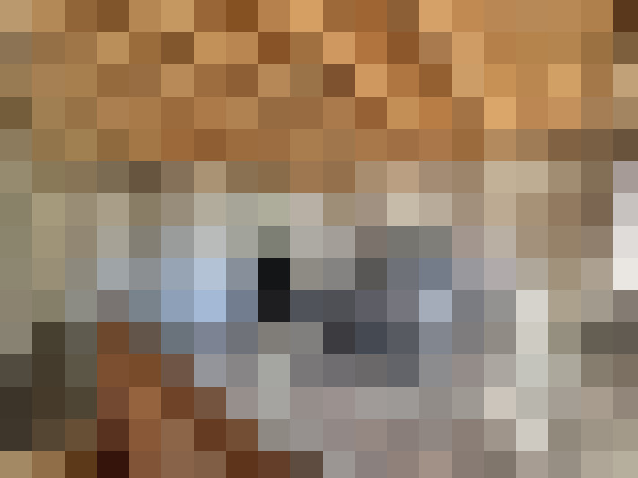  / #16