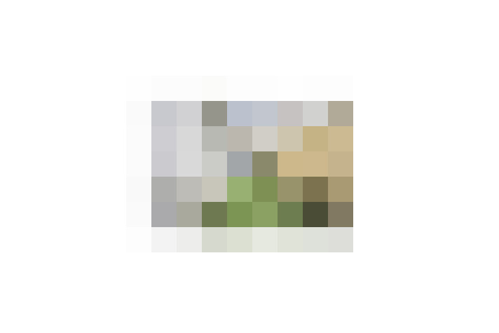  / #16