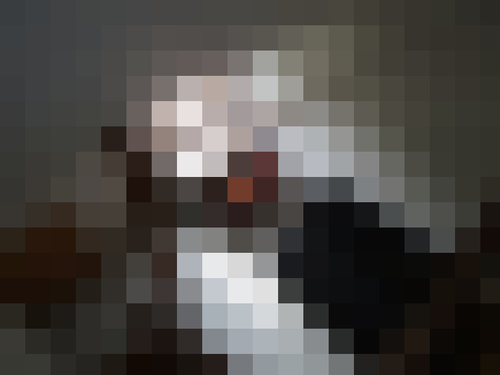  / #8