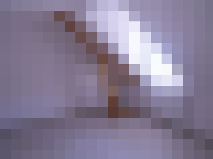  / #7