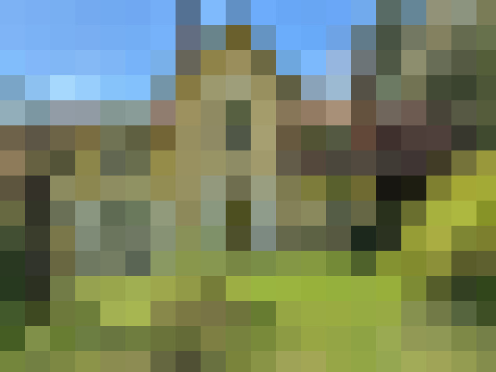  / #14