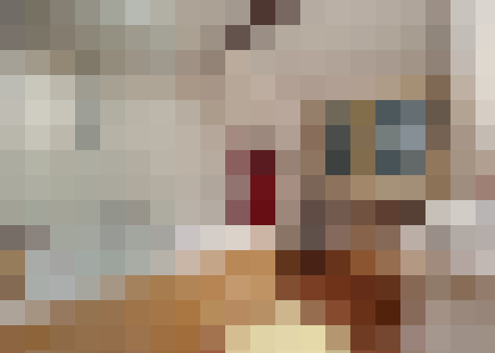  / #12