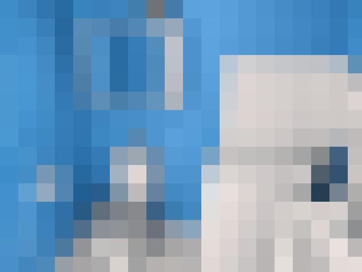  / #7