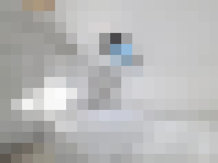  / #7