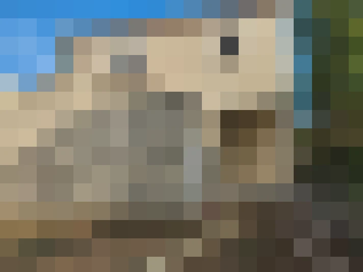  / #16