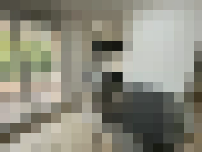  / #7