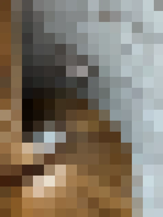  / #13