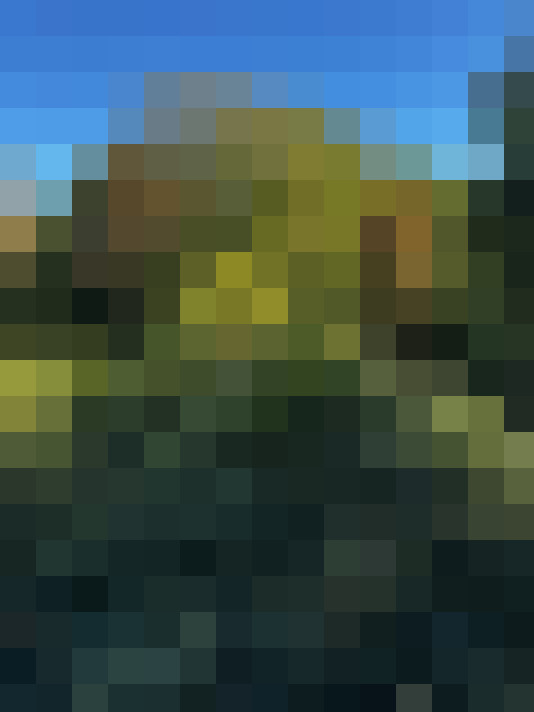  / #16