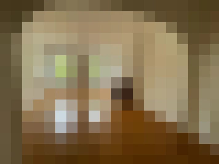  / #2