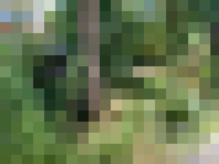  / #14