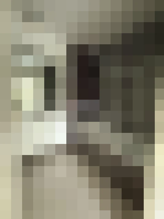  / #7