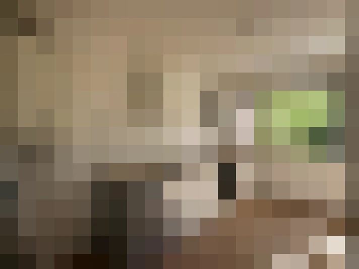  / #7
