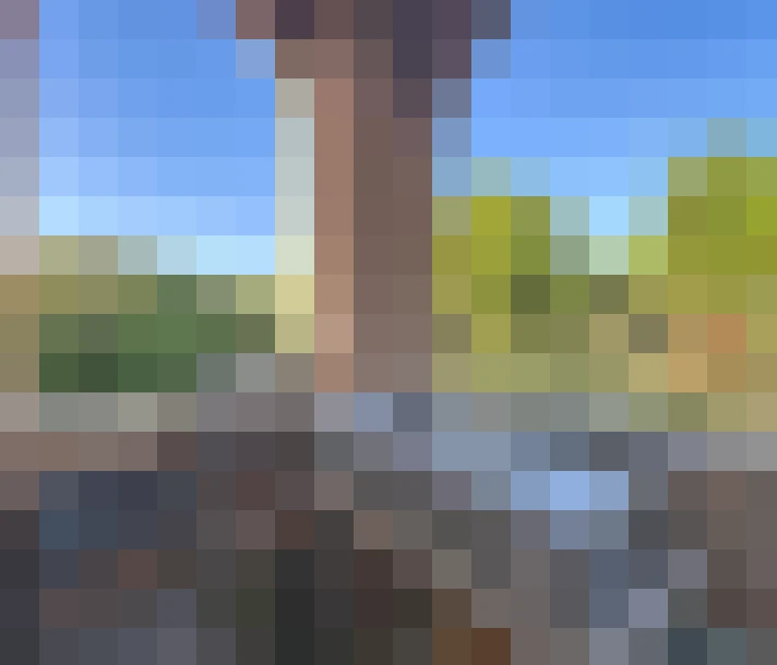  / #9
