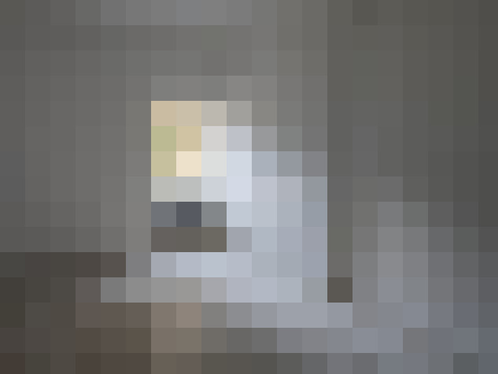  / #8