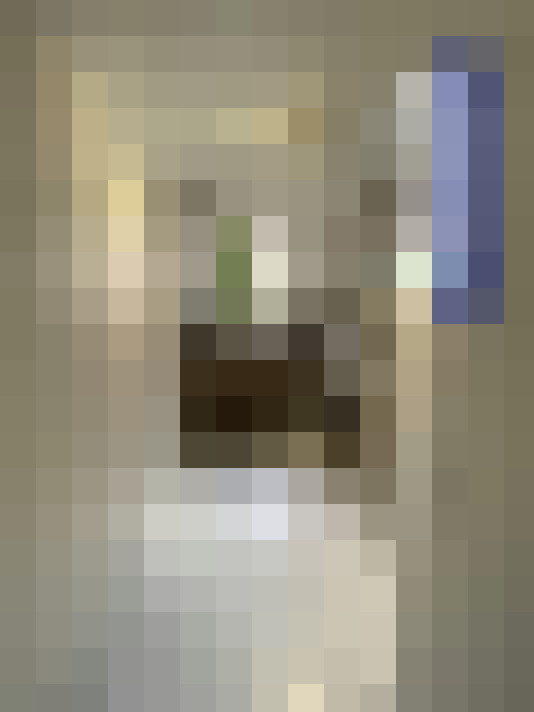  / #15