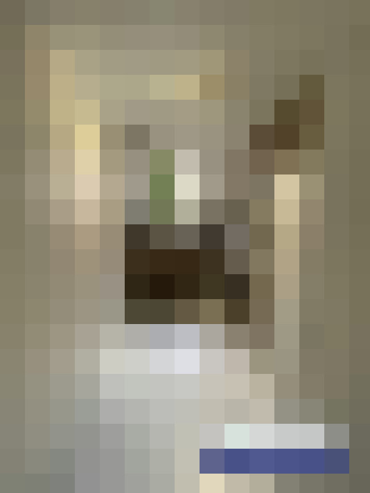  / #13