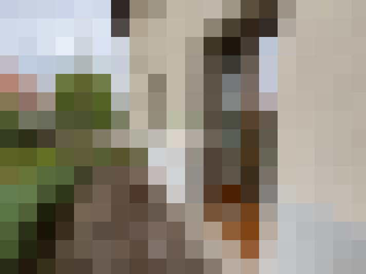  / #7