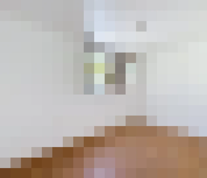  / #6