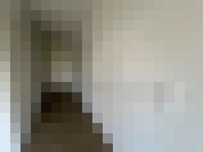  / #14