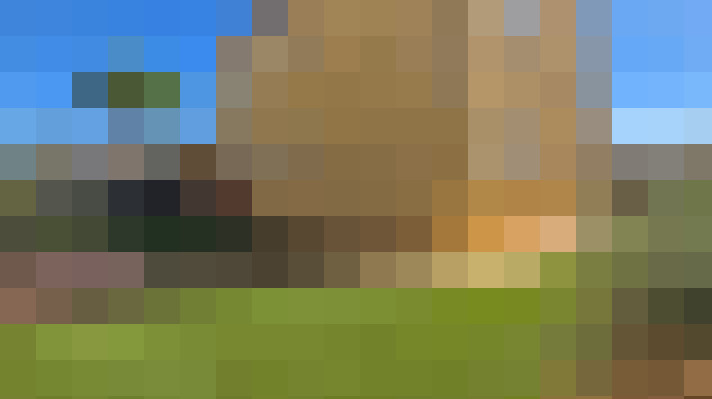  / #11