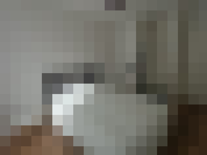  / #8
