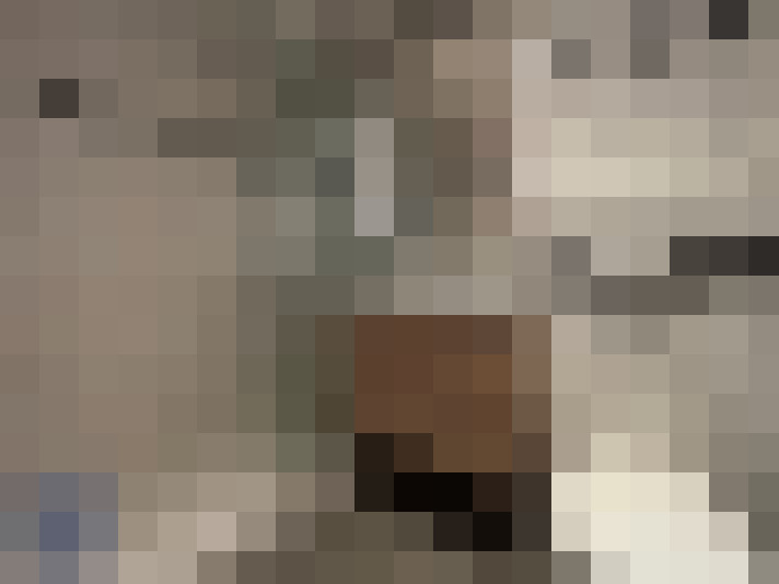  / #7